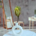 Dettaglio di fiore secco Banksia in vaso di ceramica bianca ad anello per decorazioni. - Giallo