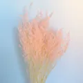 Preserved dried statice flower bouquet detail, ideal for home decor and photography props. - 100g/Bundle / Light Pink