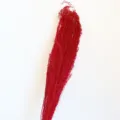 Decorazione floreale secca rosso vivo, ideale per la casa, il fai da te e come supporto fotografico. - Rosso rosa