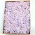 Preserved hydrangea flowers light purple bulk box for DIY craft aromatherapy floral decor. - 10.00g / Light Purple (Grade A)