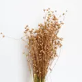 Gold dried millet fruit bouquet for Christmas decor, floral arrangement material, home decoration. - Fortune Beans Approx. 50g