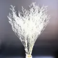 White dried statice flowers natural preserved floral bouquet for home decor photography backdrop - 100g/Bundle / White