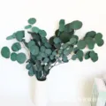 Detailed close-up shot of preserved round-leaf eucalyptus bouquet, perfect for home decor. - Green