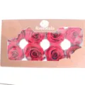 Gepreserveerde rode rozen eeuwige bloemkoppen geschenkdoos voor doe het zelf decoratie - Rood