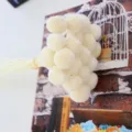 Fiori secchi naturali billy balls mazzi bianchi craspedia per decorazioni casa e fai da te. - 20 steli per mazzo / Bianco