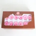 Konservierte Rosenblüte Rosa Farbe Geschenkbox Verpackung Großhandel Variante SKU Schaufenster - 10 Blumen/Box / Rosa