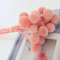Dried craspedia billy balls flowers light pink bouquet home decor floral arrangement craft - 20 Stems per Bunch / Light Pink