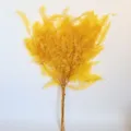 Foglie di felce preservate gialle per decorazioni domestiche e progetti di bricolage. - Giallo