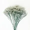 Natural preserved crystal grass bouquet dried flowers for home decor and photography props. - Green Stem White Flowers