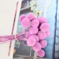 Bouquet di fiori secchi Craspedia preservati viola per regali fai da te e bella decorazione. - 20 steli per mazzo / Viola