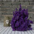 Mazzo di fiori di statice essiccati viola per decorazioni casa, matrimonio e regalo di San Valentino. - Viola