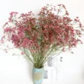 Preserved crystal grass dried flower bouquet home decor flower arrangement photography props - Natural Color Red Crystal