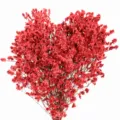 Red dried crystal grass bouquet for home decor, flower arrangement and photography props. - Red