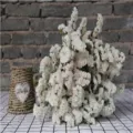 Bouquet di fiori secchi di statice bianco naturale non scordarti di me per arredamento - Bianco