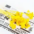Bright yellow dried flowers bunch, perfect for home decor, aromatherapy glass cover and photo props. - Gold