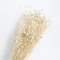 Bouquet di fiori di lino secchi naturali decorazione per la casa composizione floreale diy - Bianco