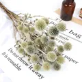 Natural dried globe thistle flowers bouquet for home decor wedding floral arrangement - Single Pack
