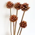 Natural pine cones decorative DIY stems photography props Christmas tree decor items. - 1 Piece with Stem