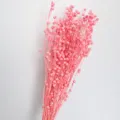 Fiori secchi rosa bouquet botanico di lino naturale per decorazione d'interni fai da te artigianato - Rosa