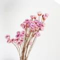 Mazzo di fiori secchi naturali per lavori creativi fai da te e decorazione floreale di casa. - Viola chiaro