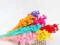 Bouquet di fiori secchi colorati piante naturali oggetti decorativi per la casa - Rosso