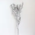 Foglie di Ruscus Sbiancate Argento Fiori Secchi Preservati Decorazione Matrimonio - 40.00g / Argento