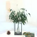 mazzo di erba d'avena secca scandinava con vaso in vetro e supporto in metallo per decorazioni. - Verde