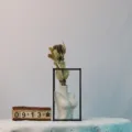 Fiore secco King Banksia decorazione per la casa con vaso in ceramica e calendario di supporto - Banksia mais