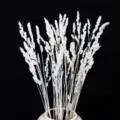 Primo piano dettagliato di un bouquet di erba della pampas bianca secca in vaso. - 30 Pezzi/Confezione / Bianco