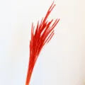 Close-up detail of vibrant red dried flower bouquet, ideal for Nordic home decor. - Bright Red