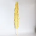 Yellow dried palm leaf botanical home decor wedding floral arrangement natural dry plant branch - Cream White, 1 Piece