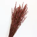 Dried lavender flower bouquet for home interior decoration, preserved floral bunch gift. - Red
