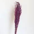 Purple dried oat grass bouquet, natural wheat spikes for home decor and photo props. - Purple