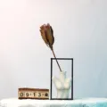 Fiore secco protea con vaso in ceramica a corpo umano creativo e cornice in metallo per decoro - Lancelot