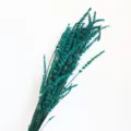 Dried lavender bouquet detail shot, teal preserved flower for home interior decor. - Green