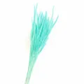 Primo piano del bouquet di fiori secchi blu-verde, perfetto per decorazioni nordiche. - Blu Tiffany