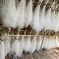Dried white baby breath flowers bulk wholesale bunch for DIY floral craft home decor material. - White
