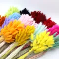 Colorful dried bunny tail grass bouquet for home decor, natural floral arrangement for INS style. - Customized Color 60 Pcs