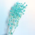 Blue preserved sea holly dry flower bouquet for chic home decor and gift arrangements. - Light Tiffany Blue