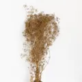 Gold preserved baby's breath dried flowers bouquet for home decoration DIY crafts - Gold