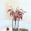 Red preserved dried grass bouquet, Nordic style natural botanical floral decor for home. - Red