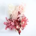 Geconserveerde gedroogde bloemen DIY materiaalpakket kleurrijke mix voor knutselen - Roze liefde