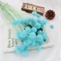 Fiori secchi naturali di scabiosa blu preservati per cupola di vetro decorazione casa - blu Tiffany