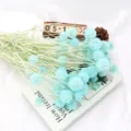 Bouquet di fiori di scabiosa essiccati azzurri, composizione naturale per la decorazione. - Blu Tiffany medio chiaro