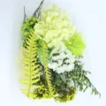 Kit di materiale di fiori secchi stabilizzati fai da te con ortensia felce per arte - Sogno di Mezza Estate