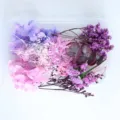 Set di fiori secchi fai da te, ortensie colorate per artigianato e aromaterapia. - Ricordi Viola