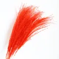 Red pampas grass dry flowers fluffy reed bouquet for wedding home decor floral arrangement - Red
