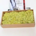 Preserved green moss box for DIY crafts, home wall decor, natural floral design material - Tender Green