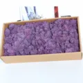 Boxed purple preserved moss for home decor and DIY moss walls, natural coral grass material. - Deep purple