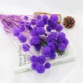 Bouquet di fiori secchi viola naturali per decorazioni domestiche, aromaterapia e composizioni. - Viola Rossastro